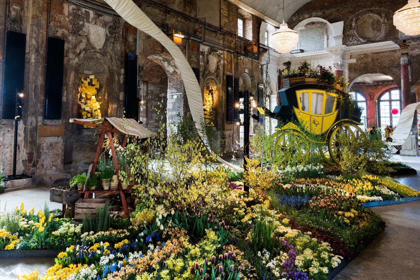 58+ Blumenausstellung Palais Großer Garten Dresden, Für den